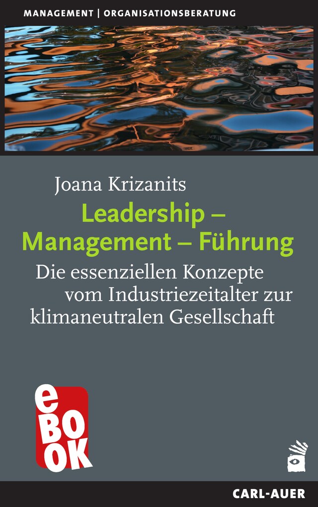 Book cover for Leadership – Management – Führung