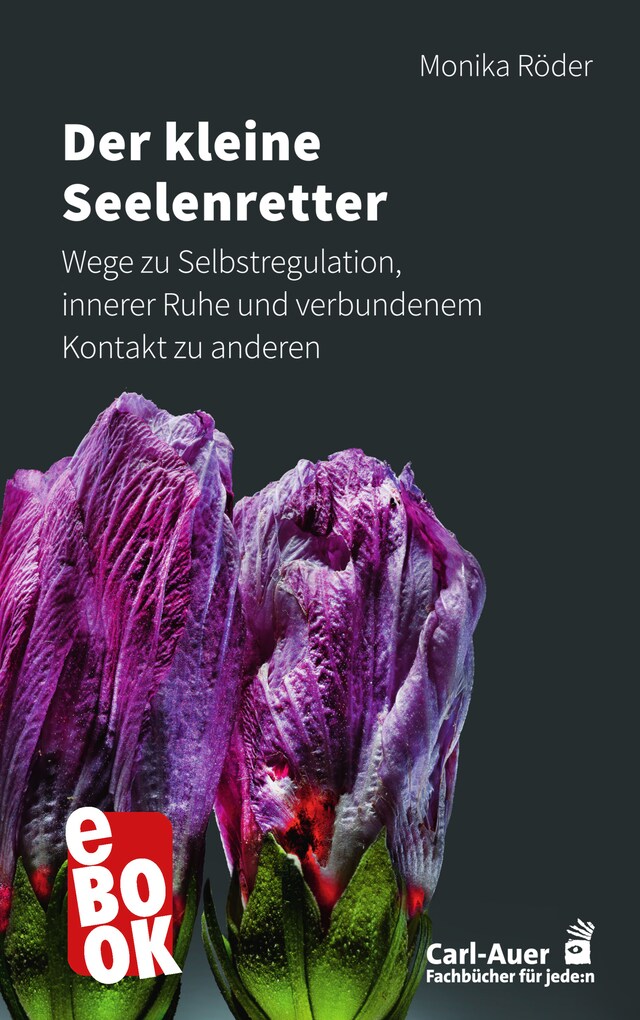 Book cover for Der kleine Seelenretter