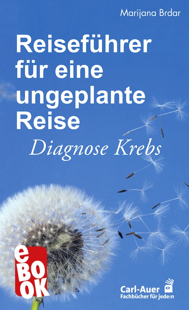 Copertina del libro per Reiseführer für eine ungeplante Reise