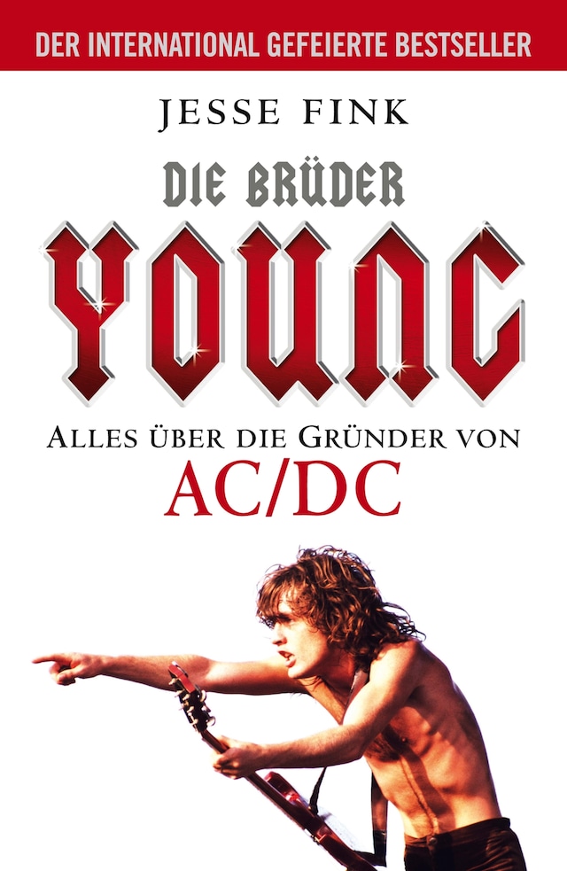 Book cover for Die Brüder Young