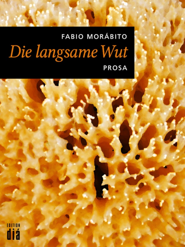 Book cover for Die langsame Wut