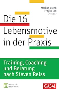 Die 16 Lebensmotive in der Praxis