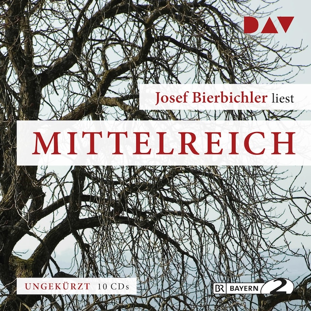 Buchcover für Mittelreich