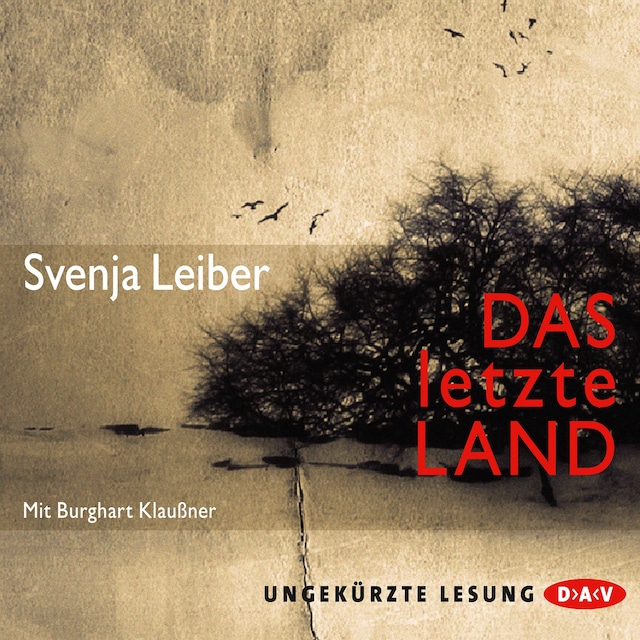 Buchcover für Das letzte Land