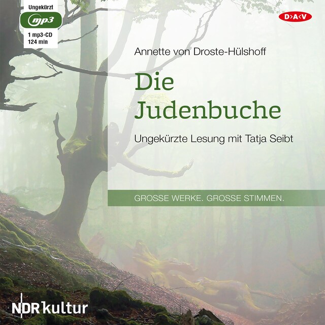 Buchcover für Die Judenbuche