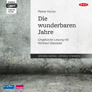 Die wunderbaren Jahre als Hörbuch