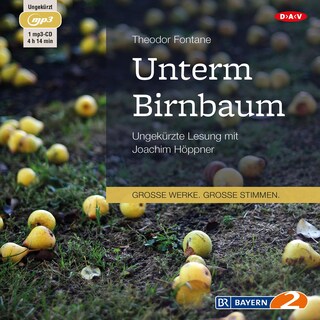 Unterm Birnbaum als Hörbuch