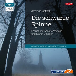 Die schwarze Spinne als Hörbuch