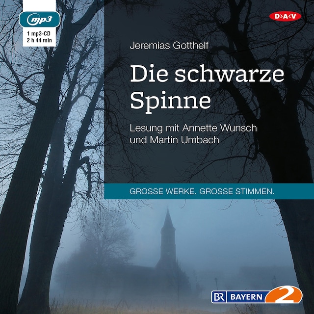 Buchcover für Die schwarze Spinne