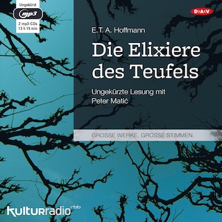 Die Elixiere des Teufels als Hörbuch