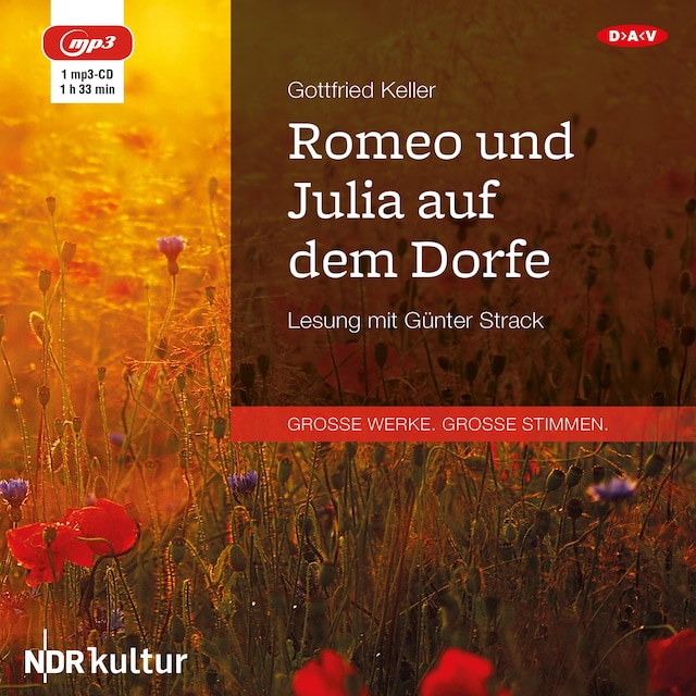 Buchcover für Romeo und Julia auf dem Dorfe