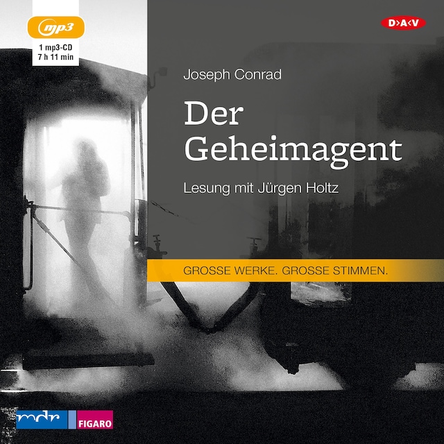 Buchcover für Der Geheimagent