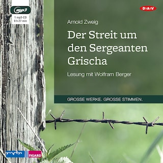 Der Streit um den Sergeanten Grischa als Hörbuch