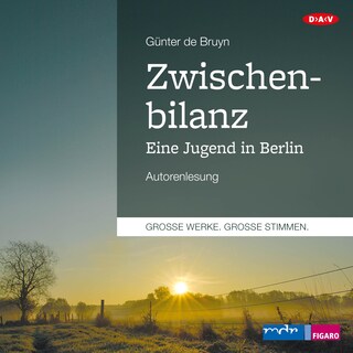 Zwischenbilanz. Eine Jugend in Berlin als Hörbuch