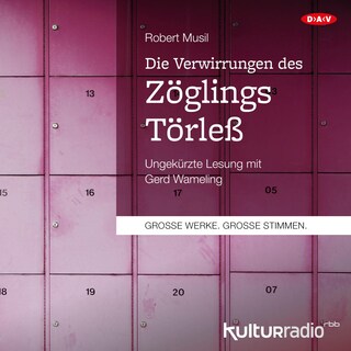 Die Verwirrungen des Zöglings Törleß als Hörbuch