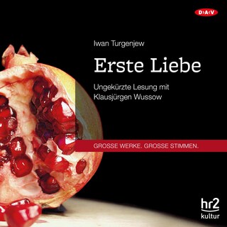 Erste Liebe als Hörbuch