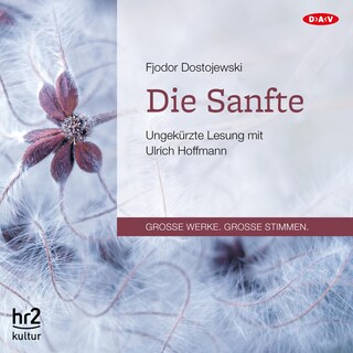 Die Sanfte als Hörbuch