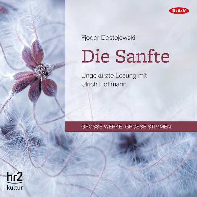 Buchcover für Die Sanfte