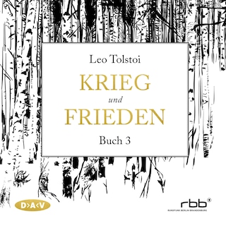 Krieg und Frieden – Buch 3 als Hörbuch
