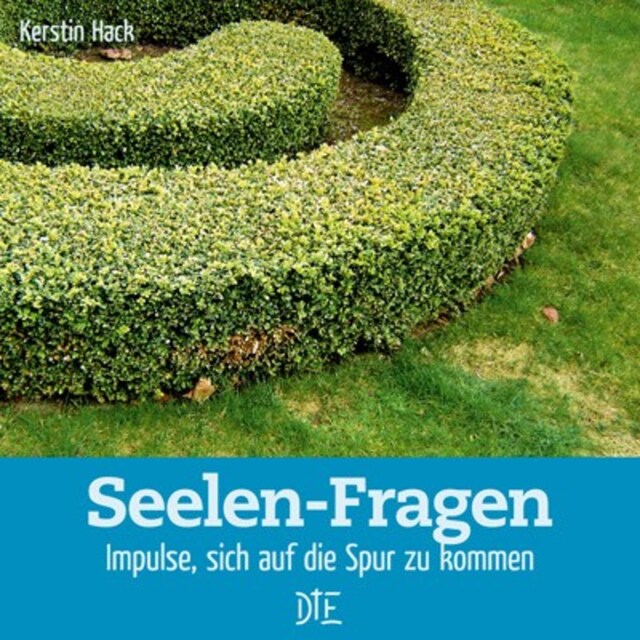 Book cover for Seelen-Fragen