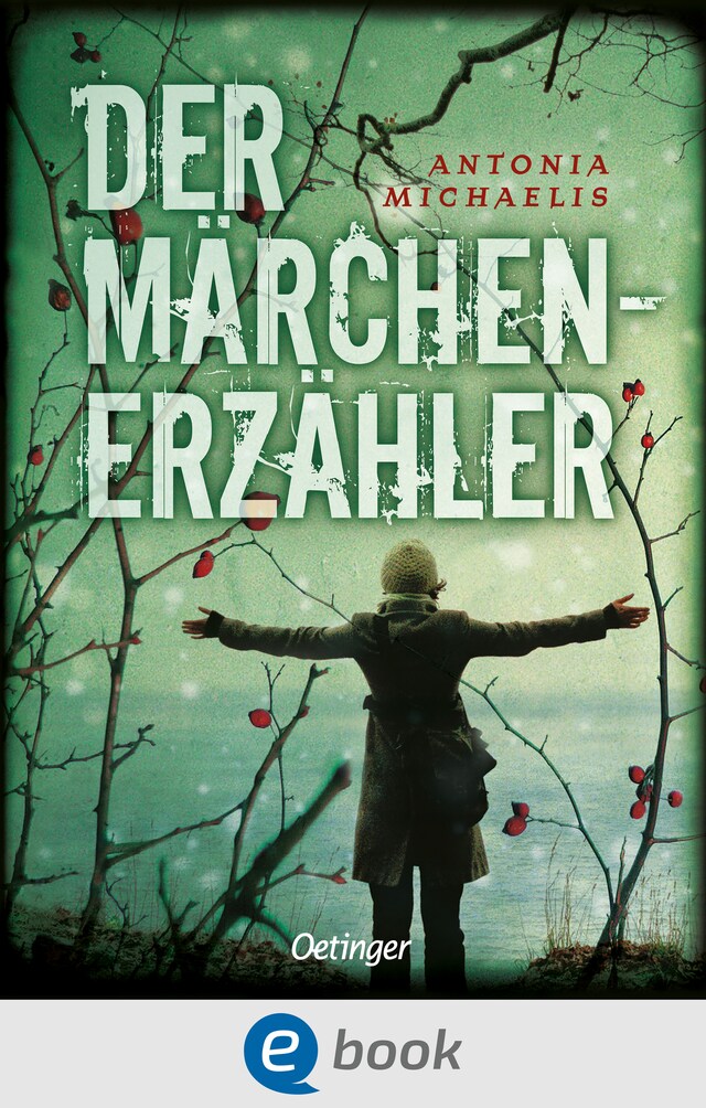 Portada de libro para Der Märchenerzähler