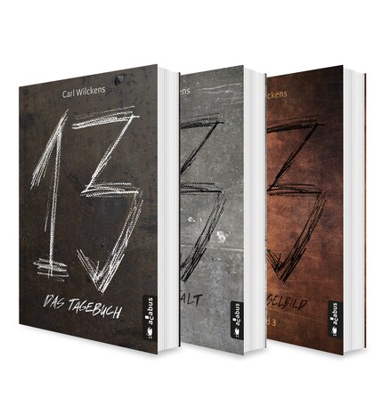 Dreizehn Band 1-3: Das Tagebuch / Die Anstalt / Das Spiegelbild bookCoverFor