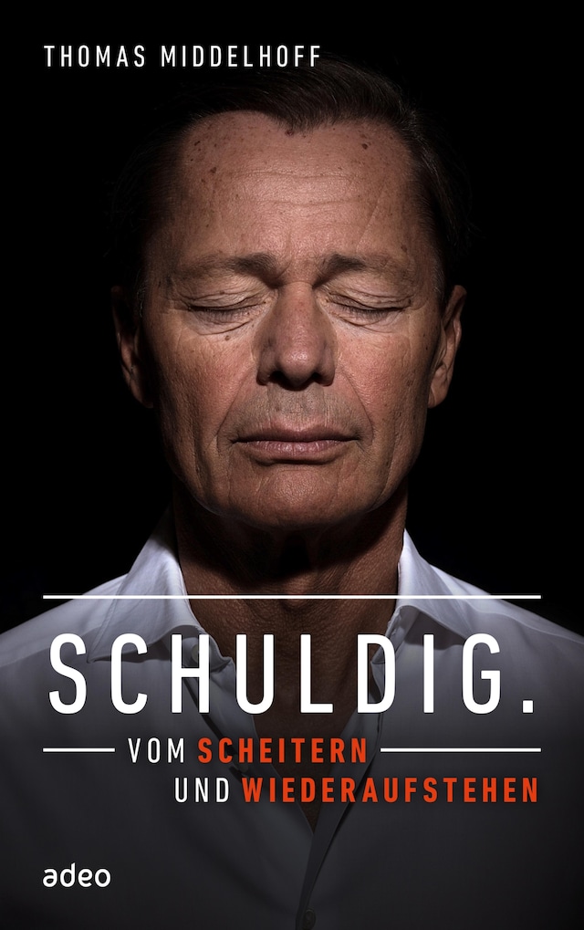 Book cover for Schuldig.