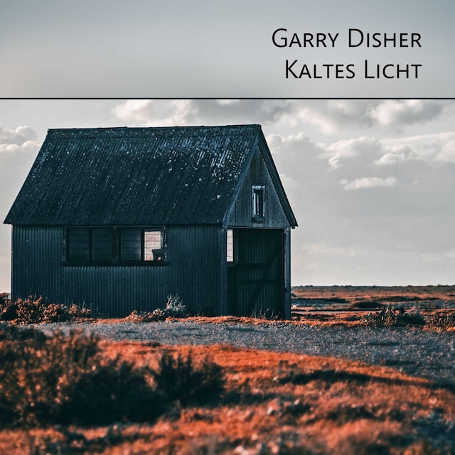 Book cover for Kaltes Licht