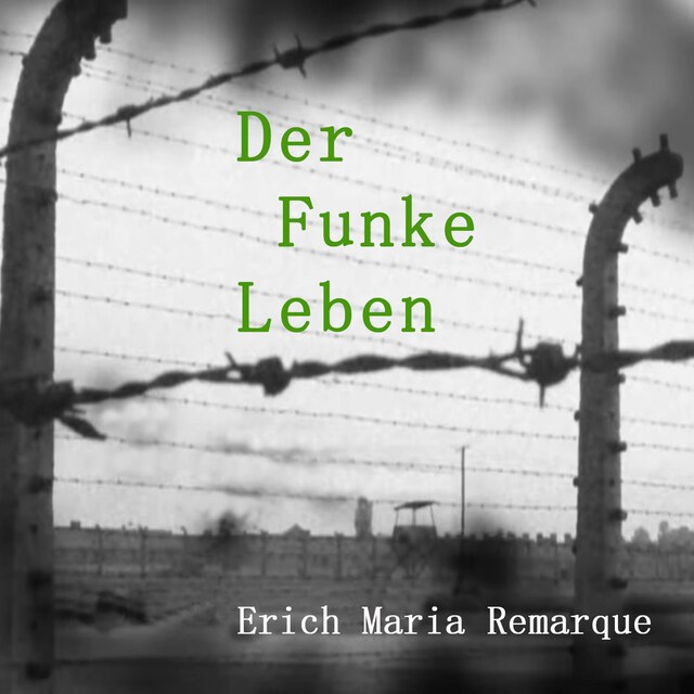 Book cover for Der Funke Leben