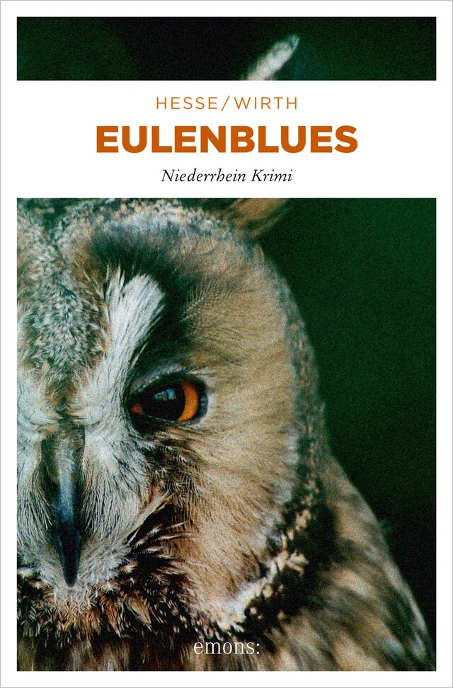 Book cover for Eulenblues