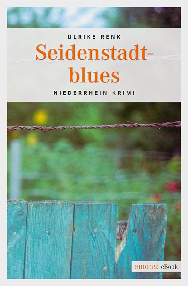 Book cover for Seidenstadtblues