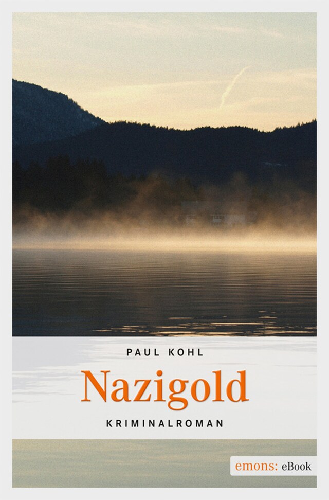 Copertina del libro per Nazigold