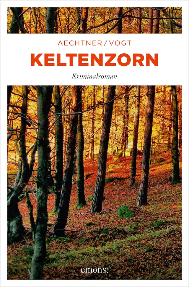 Book cover for Keltenzorn