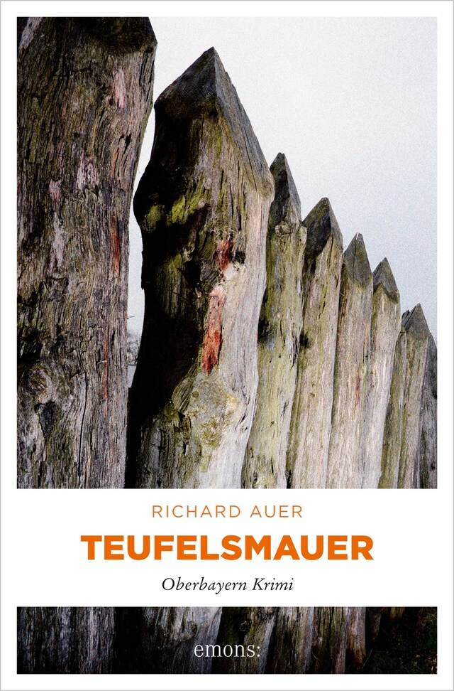 Couverture de livre pour Teufelsmauer