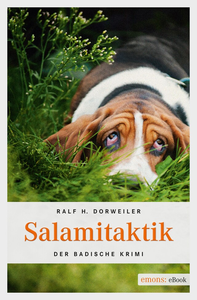 Boekomslag van Salamitaktik