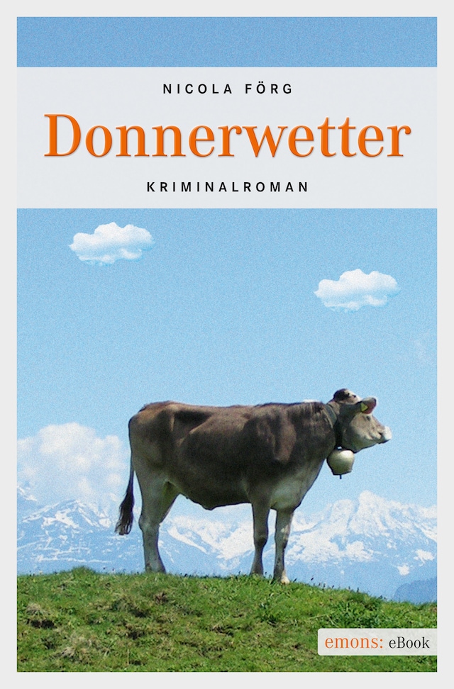 Book cover for Donnerwetter