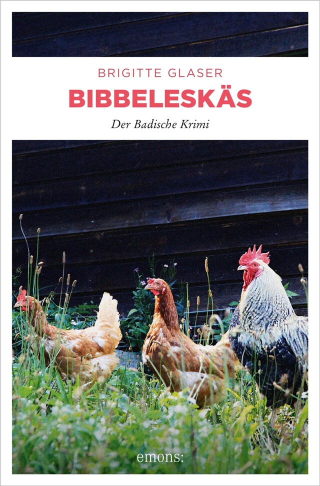 Boekomslag van Bibbeleskäs
