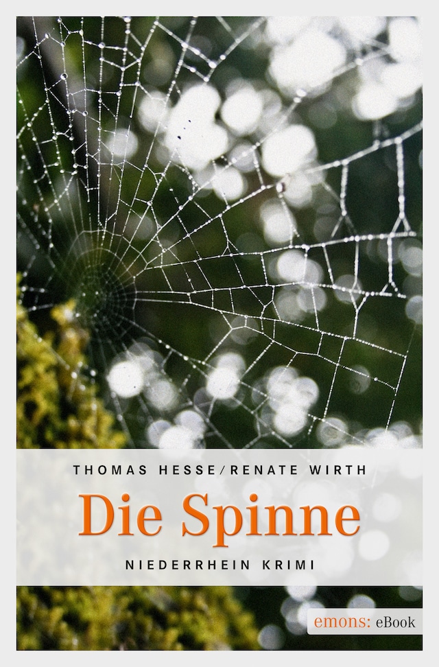 Book cover for Die Spinne