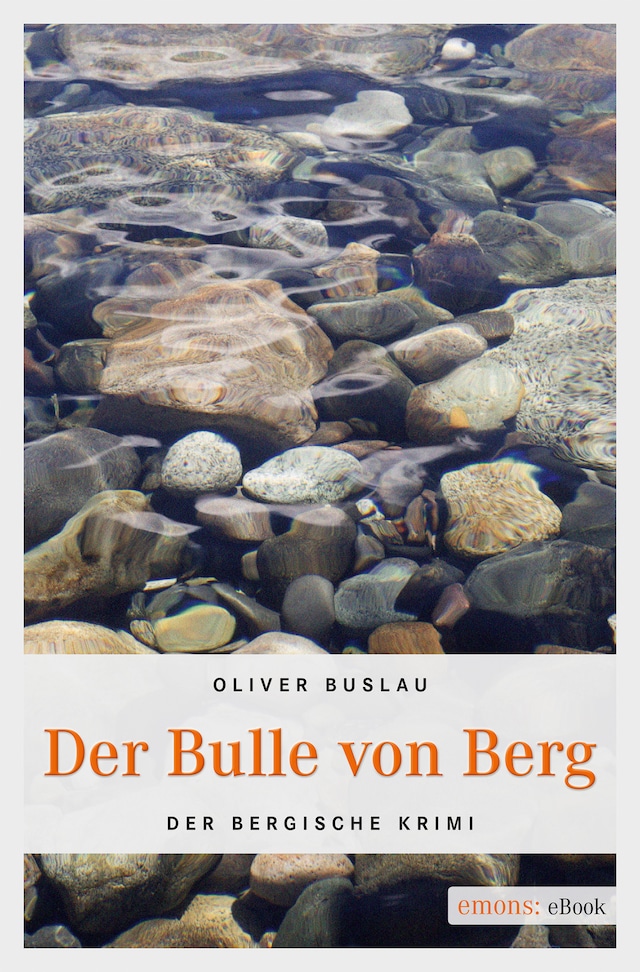 Kirjankansi teokselle Der Bulle von Berg