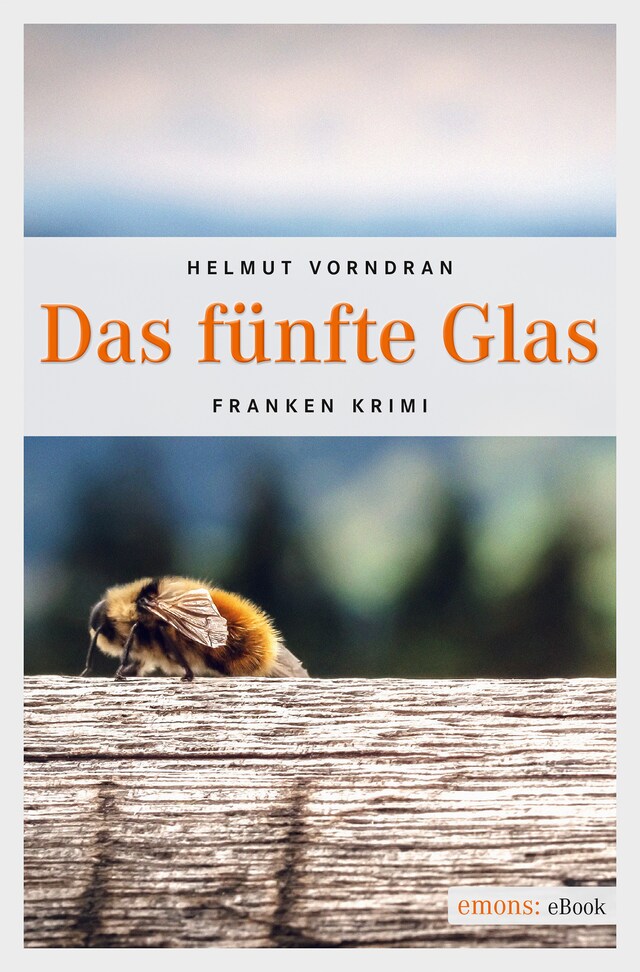 Kirjankansi teokselle Das fünfte Glas