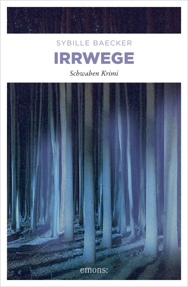 Book cover for Irrwege