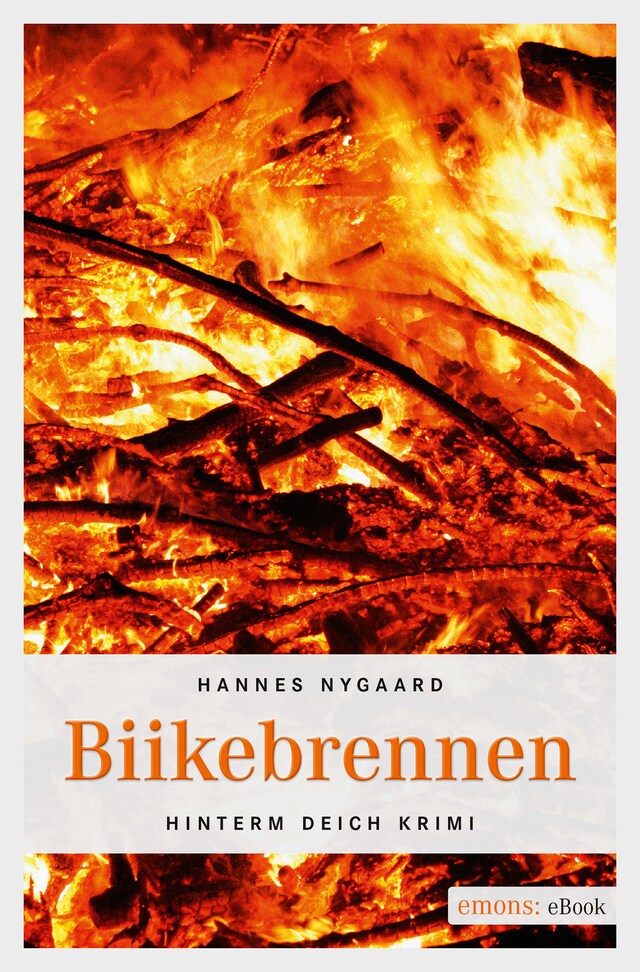 Boekomslag van Biikebrennen