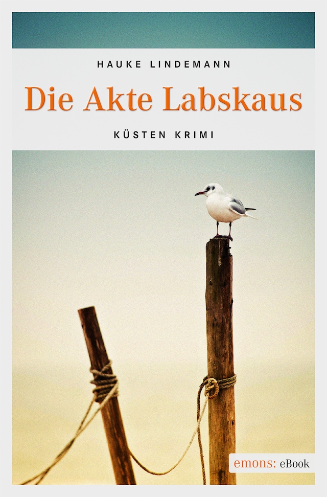 Book cover for Die Akte Labskaus