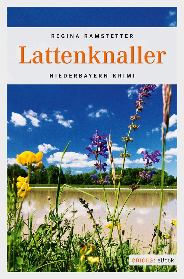 Book cover for Lattenknaller