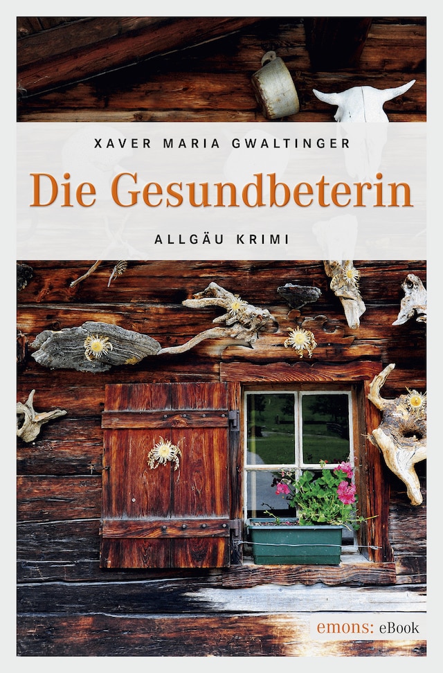 Book cover for Die Gesundbeterin
