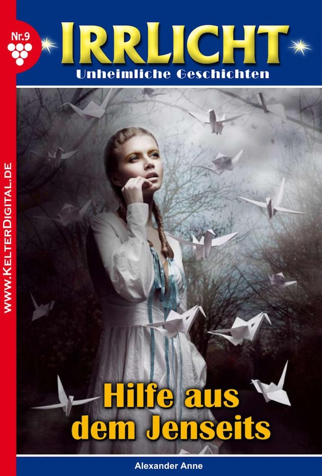 Book cover for Irrlicht 9 – Mystikroman