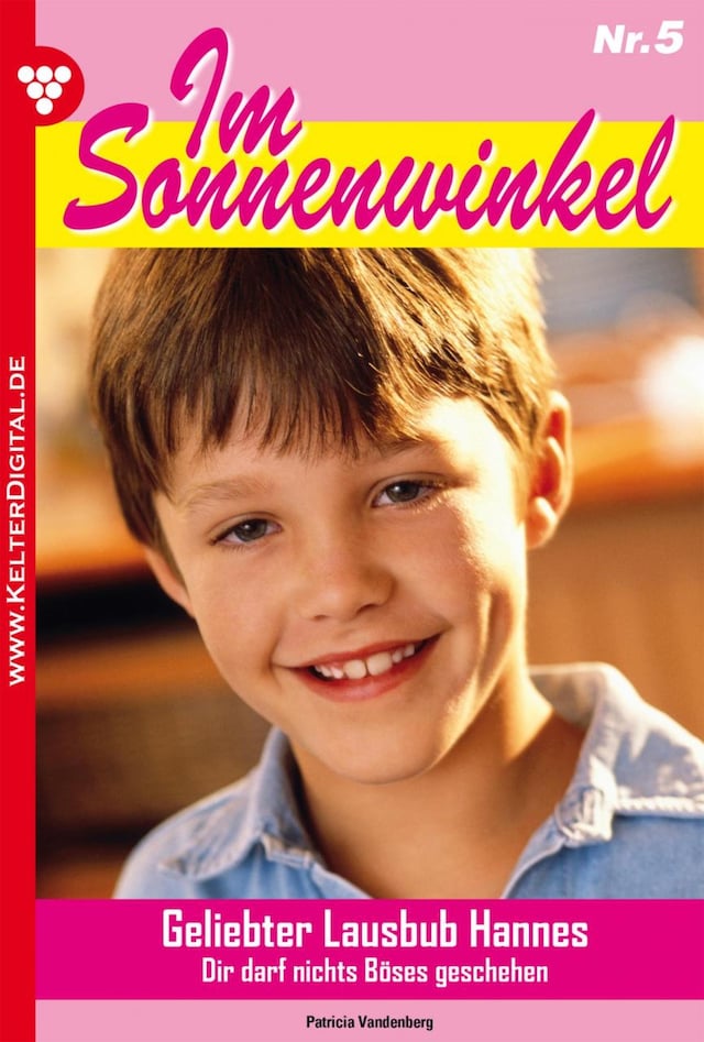 Book cover for Im Sonnenwinkel 5 – Familienroman