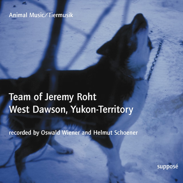 Book cover for Animal Music / Tiermusik: Team of Jeremy Roht