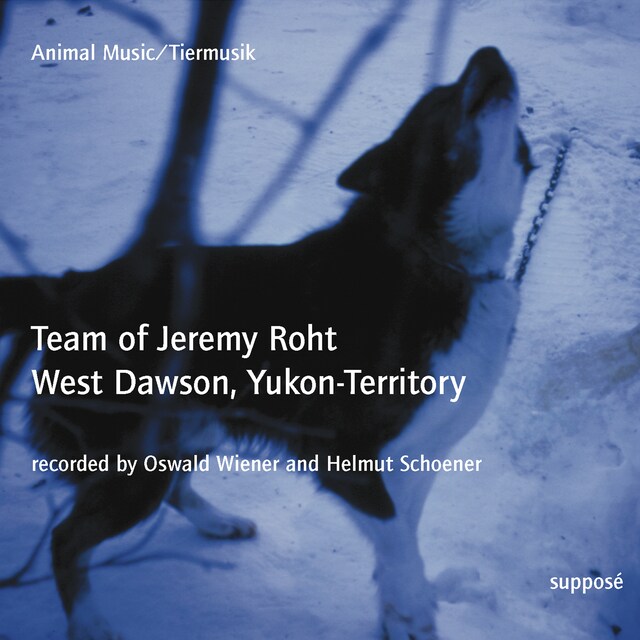 Bokomslag för Animal Music / Tiermusik: Team of Jeremy Roht