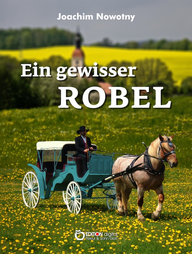 Buchcover für Ein gewisser Robel